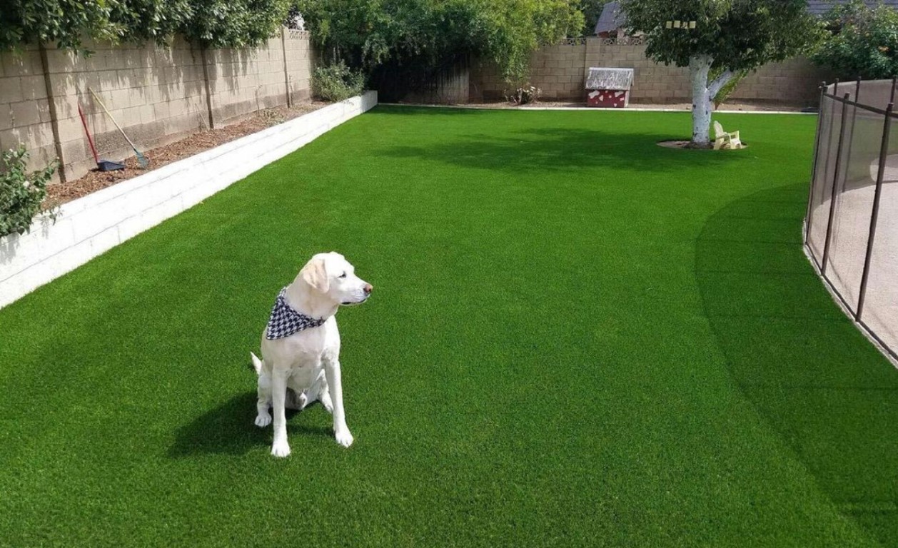 Pet Turf / Dog Turf Systems in San Mateo, CA
